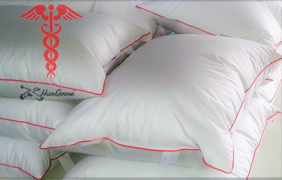 hungarian goose down pillows